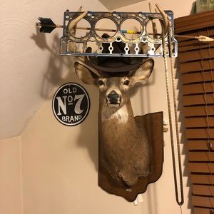 Meet your Posher, Bri